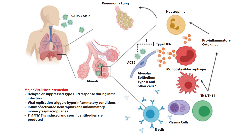 This Treatment Could Save Your Life – COVID-19 and Convalescent Plasma ...